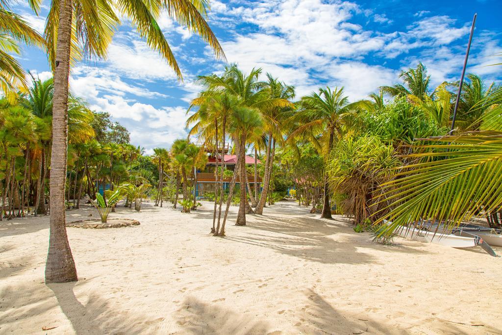 Hotel Wild Orchid Placencia Exterior foto