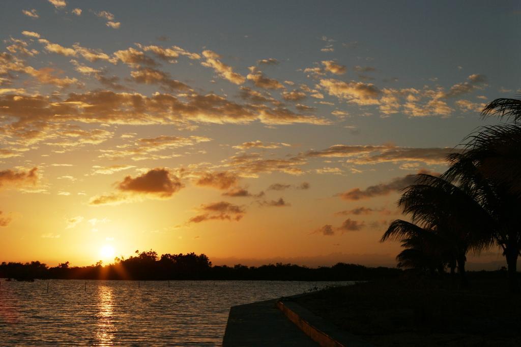 Hotel Wild Orchid Placencia Zimmer foto